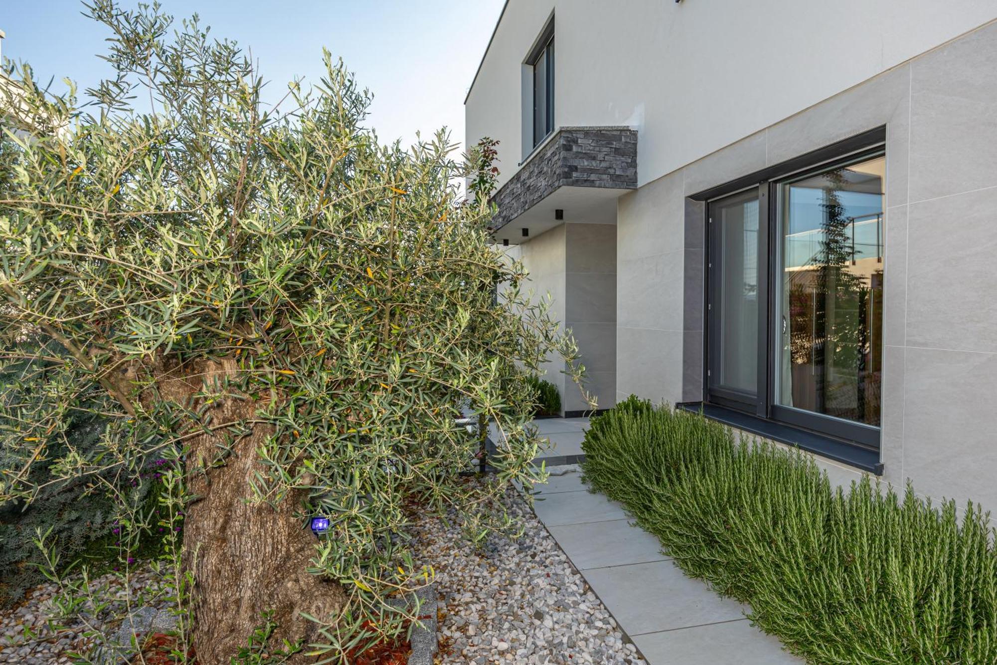 Luxury Villas White Sails Pinezići Exteriör bild